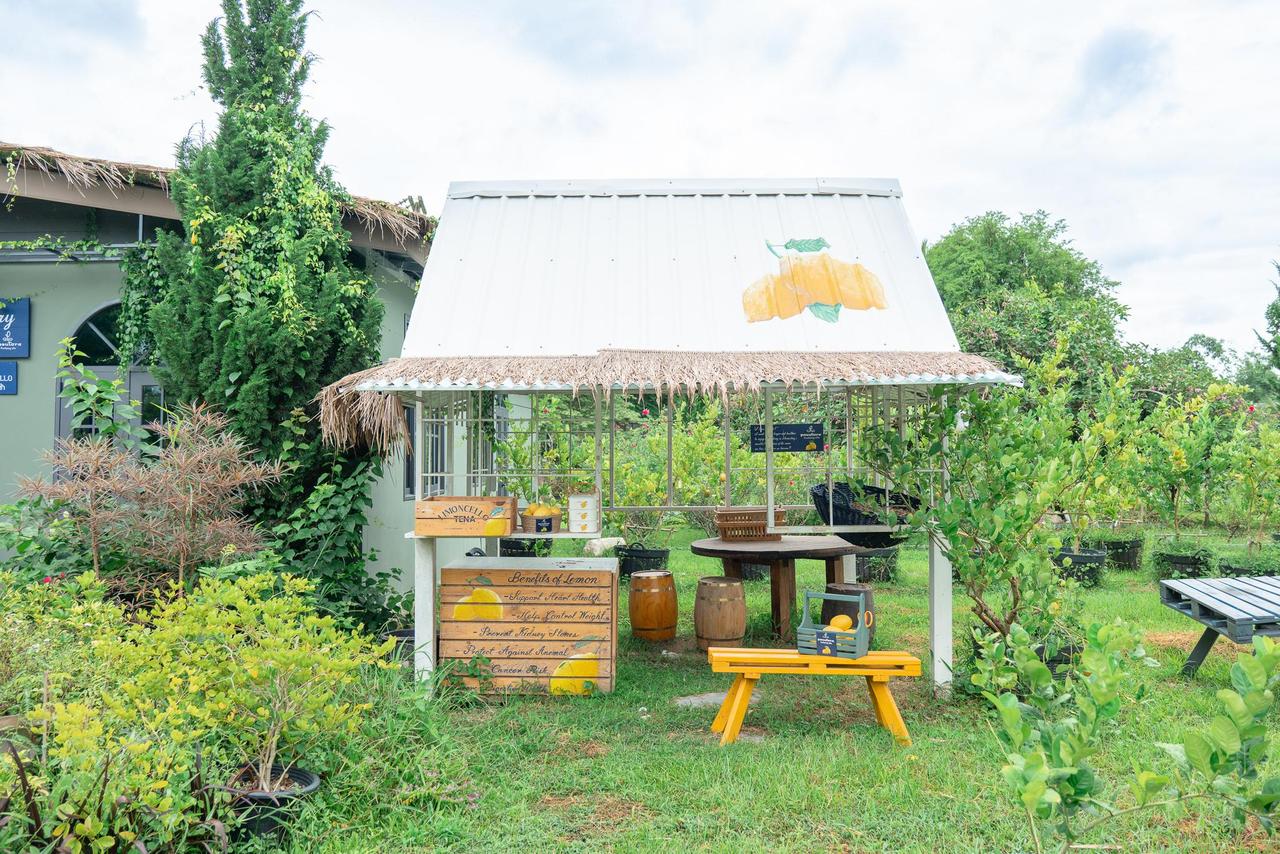 ซุ้มร้านไม้เล็ก ๆ กลางสวนพสุธารา พร้อมโต๊ะนั่งสีเหลือง